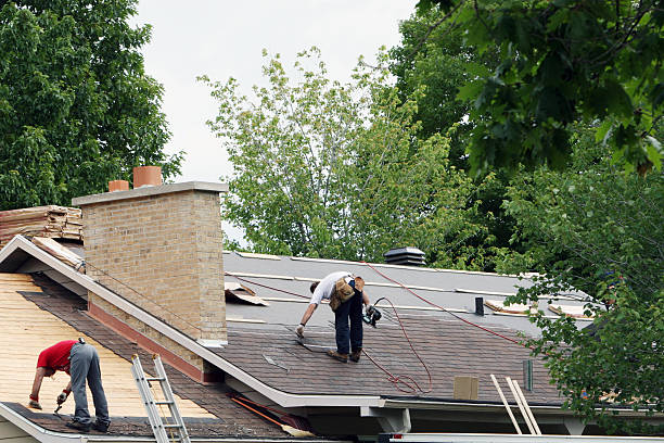 Roof Gutter Cleaning in Havre, MT
